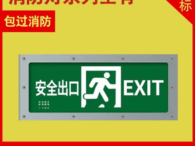 新国标IP65户外隧道灯防水消防应急照明灯直面安全出口疏散指示牌