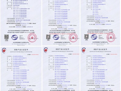消防泵 消火栓泵 喷淋泵 消防泵厂家 稳压泵 消防3C认证立式单级图5