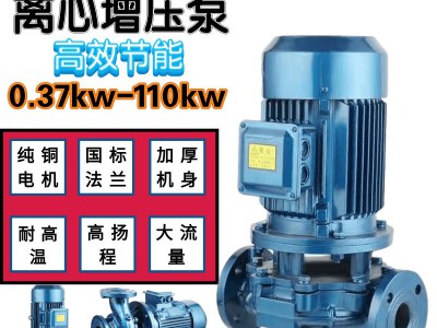 厂家直销管道泵IRG立式循环离心增压泵ISW卧式30KW消防系统增压泵图2