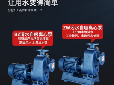 国标ZW自吸泵BZ管道泵大流量抽水泵加强离心泵污水泵三相循环380v图4