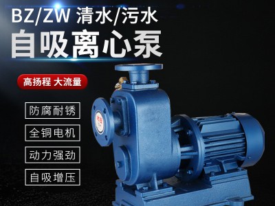 国标ZW自吸泵BZ管道泵大流量抽水泵加强离心泵污水泵三相循环380v图3
