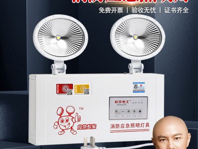 敏华电工照明灯安全出口led双头灯插电超亮商用敏华消防应急灯图2