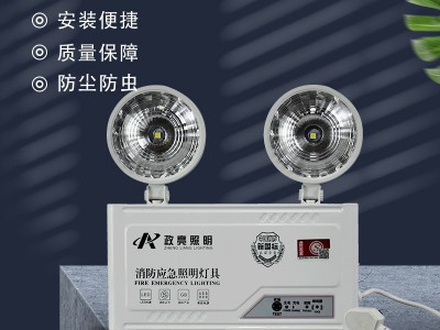 防爆双头应急灯led消防照明应急灯安全出口疏散指示灯牌灯标识灯