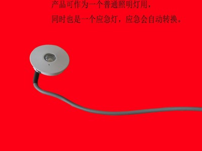 LED应急灯 LED消防应急灯 LED应急照明灯 LED照明带应急的灯图3