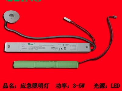 LED应急灯 LED消防应急灯 LED应急照明灯 LED照明带应急的灯