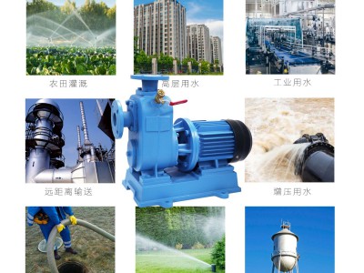 BZ卧式清水泵大流量直联离心泵工业三相大功率无堵塞自吸泵排水泵图2