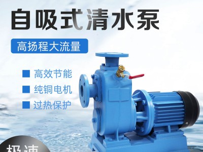 BZ卧式清水泵大流量直联离心泵工业三相大功率无堵塞自吸泵排水泵