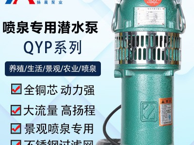 杭州潜水泵扬晨QYP65-7-2.2喷泉泵QYP65-10-3和QYP100-12-5.5电泵图2