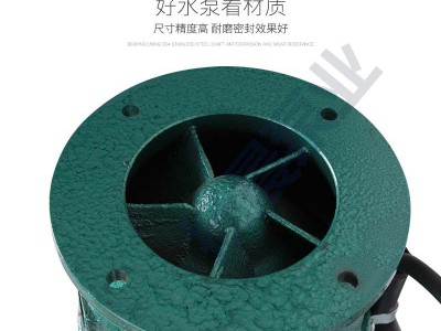 杭州潜水泵扬晨QYP65-7-2.2喷泉泵QYP65-10-3和QYP100-12-5.5电泵图4
