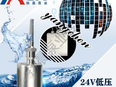DC24V低压无刷直流潜水泵DMX512音乐喷泉泵24V36V 48V旱喷涌泉泵图3