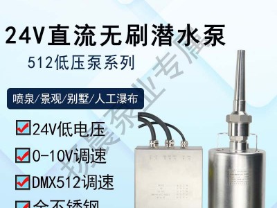 DC24V低压无刷直流潜水泵DMX512音乐喷泉泵24V36V 48V旱喷涌泉泵图2