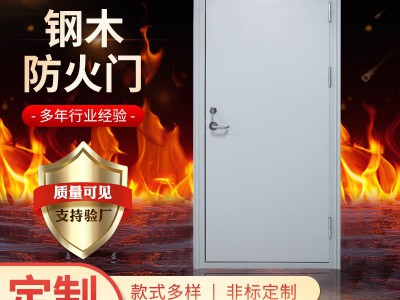 厂家供应钢木防火门电影院配电室学校商场消防防火门微机室防火门