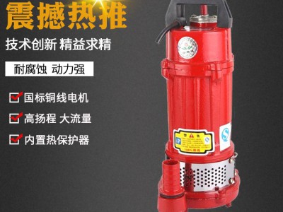 QX潜水泵 QDX家用立式水泵 农田灌溉泵 井用抽水机 铜线潜水电泵图2