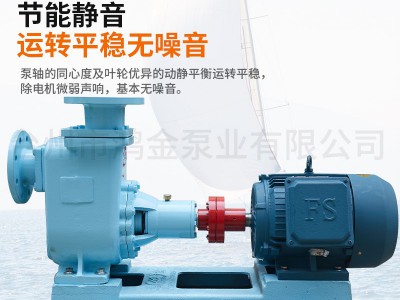 卧式自吸离心泵密封防漏抽水增压泵鸿金厂家直供80CWZ-14船用水泵图4