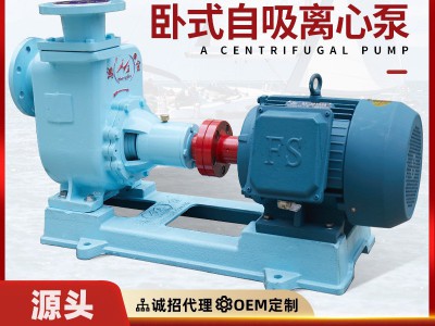 卧式自吸离心泵密封防漏抽水增压泵鸿金厂家直供80CWZ-14船用水泵