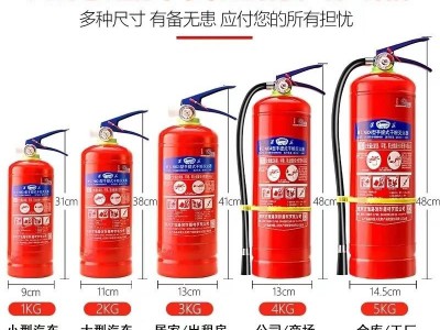 淮海车载灭火器家用车用干粉水基4公斤店用商用私家汽车消防器材图3