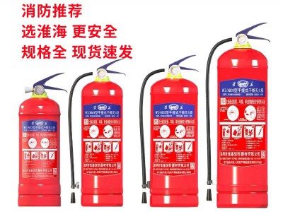 淮海车载灭火器家用车用干粉水基4公斤店用商用私家汽车消防器材图2