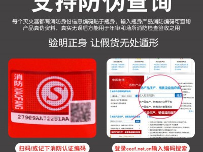 淮海二氧化碳灭火器2-40公斤干冰手提推车式环保无污染机房实验室图4