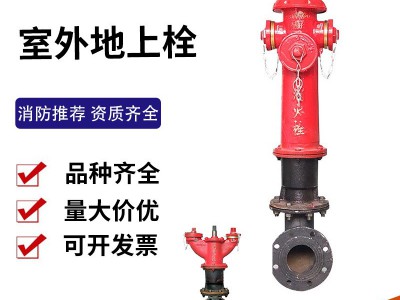 室外地上消火栓SS100/65-1.6地下消火栓地上栓防撞地上栓消防栓图2