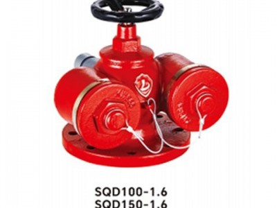 上 海金盾 SQD型多用式水泵接合器 SQD100-1.6 球墨铸铁图5