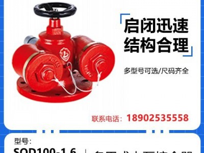 上 海金盾 SQD型多用式水泵接合器 SQD100-1.6 球墨铸铁
