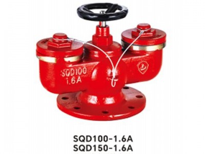 上 海金盾 SQD型多用式水泵接合器 SQD100-1.6 球墨铸铁图4