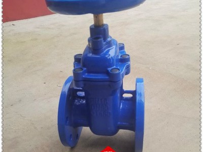 FZ45T-16Q人防防护闸阀 用于流体控制系统的阀门 防爆型图2