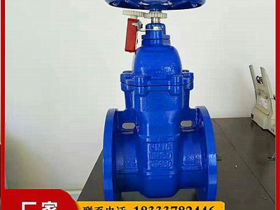 FZ45T-16Q人防防护闸阀 用于流体控制系统的阀门 防爆型图3