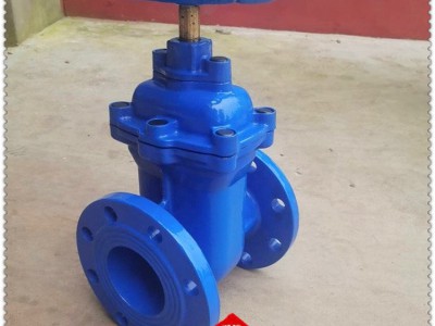 FZ45T-16Q人防防护闸阀 用于流体控制系统的阀门 防爆型图4