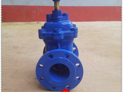 FZ45T-16Q人防防护闸阀 用于流体控制系统的阀门 防爆型图5