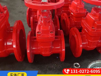 DN150密闭防护闸阀 铜芯阀门 龙冠为您服务 支持定制