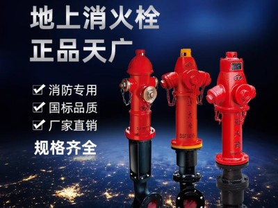天广消防室外地上消火栓SS100-65-1.6地上栓消防栓图2