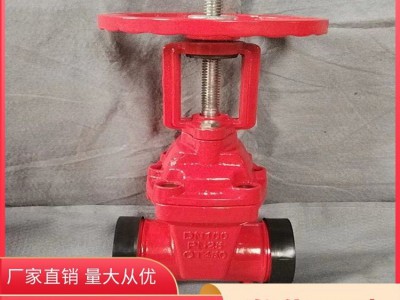 沟槽止回阀厂家 消防管道用手动闸 阀 不锈钢防腐蚀图4