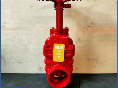 鼎正厂家 铜杆铜芯 G81T-25Q 沟槽防护闸阀 防爆阀门 球墨铸铁图2