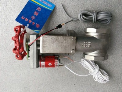 BG1140电动自动供水闸阀-BG1150不锈钢内螺纹闸门图2