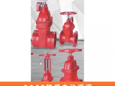 开维喜阀门 CCCF防爆电动闸阀 带3C认证消防电动阀 防护IP65 CT4图3