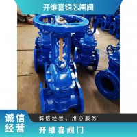 开维喜阀门 Z41T明杆铜芯闸阀 法兰连接 消防人防防护阀