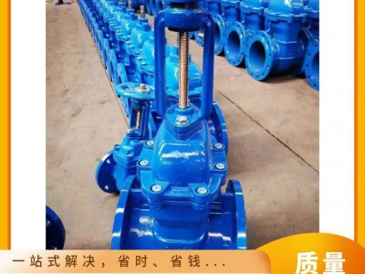 开维喜阀门 Z41T明杆铜芯闸阀 法兰连接 消防人防防护阀图2