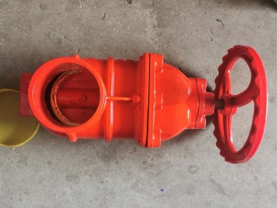 爆品 厂家现货防护铜芯闸阀 一特阀门 消防管道暗杆法兰闸阀 现货图3