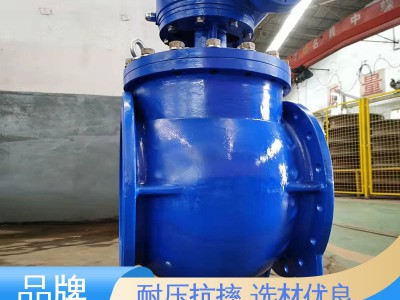 日安 安装简单 耐压抗摔 源头工厂供应 大口径偏心半球阀图3