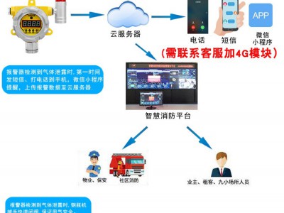 可燃气体探测报警器工业天然气液化气油漆氧气有害浓度泄漏检测仪图3