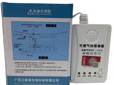 家用可燃气体泄露探测报警器 甲烷 丙烷 煤气 天然气 液化石油气图5