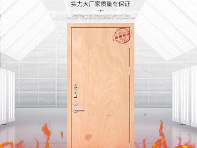 圣福厂家生产 木质隔热隔音防火门 木制消防门 管井门验收无忧图2