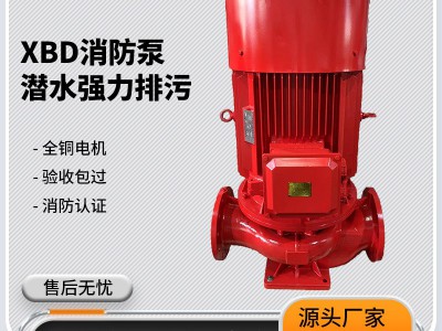 XBD立式消防水泵室内外消火栓泵消防水泵喷淋泵 增压稳压多级泵管