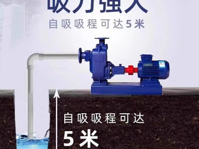 ZW自吸排污泵无堵塞不锈钢防爆自吸泵污水分体式ZX自吸增压清水泵图4