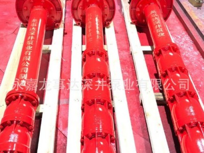 龙事达供应高压消防深井泵 高压轴流深井消防泵 立式单级消防泵图3