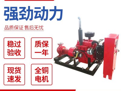 厂家直供柴油消防泵卧式应急高扬程救援柴油驱动消防泵图3