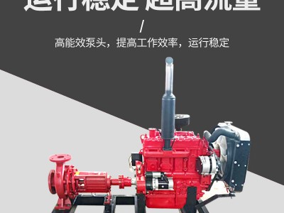 厂家直供柴油消防泵卧式应急高扬程救援柴油驱动消防泵图2