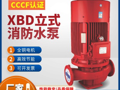 上海上民XBD立式单级消防泵稳压设备喷淋离心泵消火栓泵3CF包验收图3