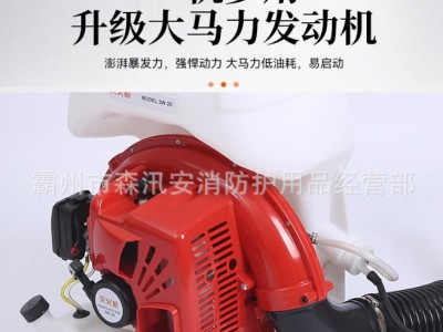 背负式风水灭火机火场清理风水两用灭火器应急风水灭火器图2